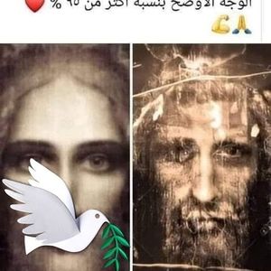 Meet your Posher, Rita